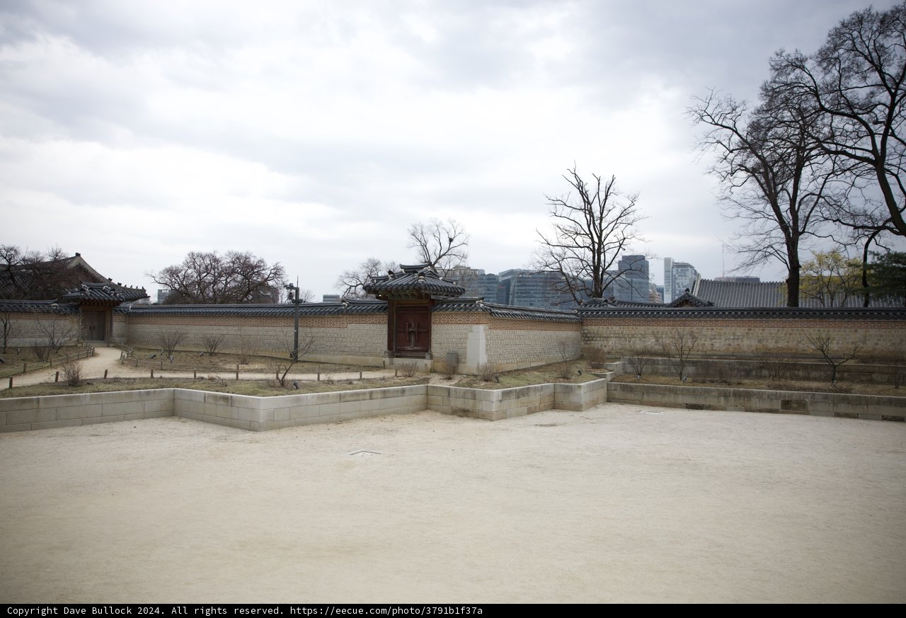 A Glimpse into the Past: The Royal Palace Courtyard in Seoul, 2024