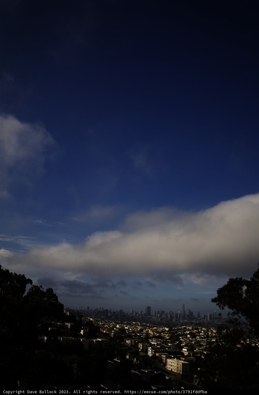 Hillside View of the Urban Jungle