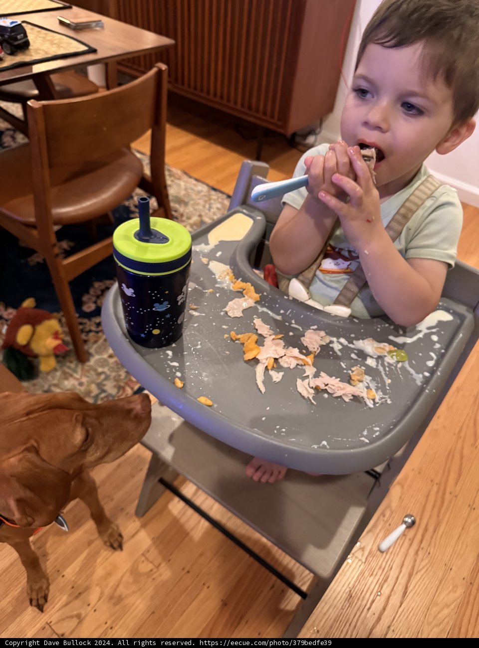 A Wholesome Mealtime Mess