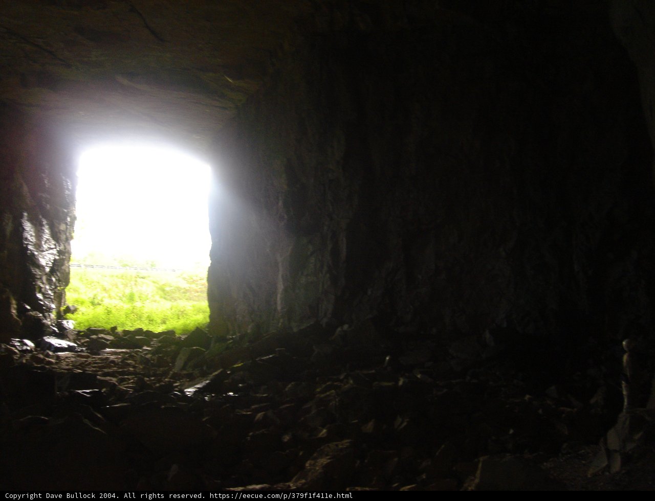 Illuminated Escape