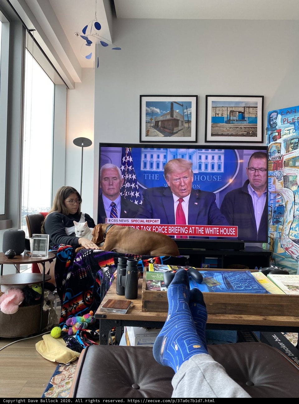 Couch Potato Politics