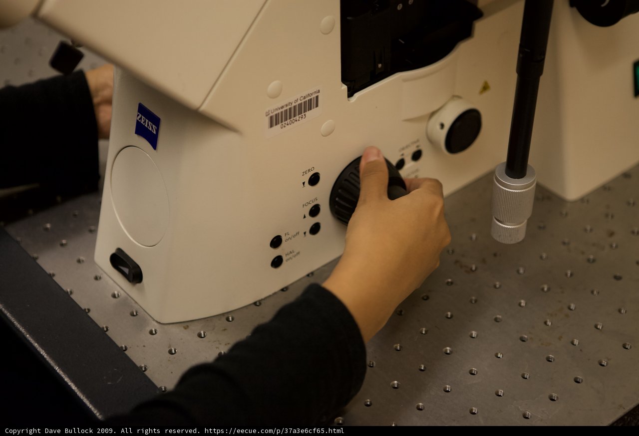 Microscopic Paper Analysis