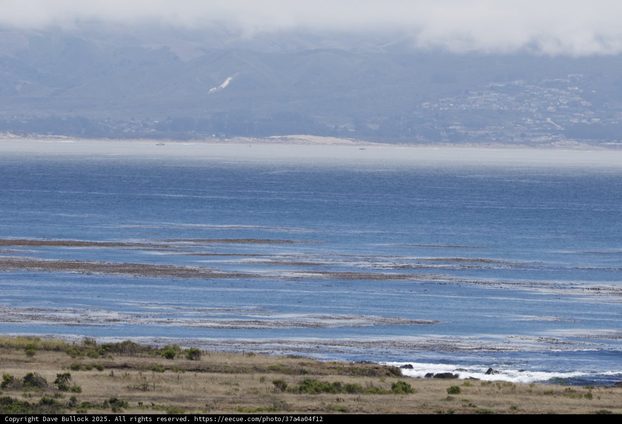 Coastal Serenity in Cayucos