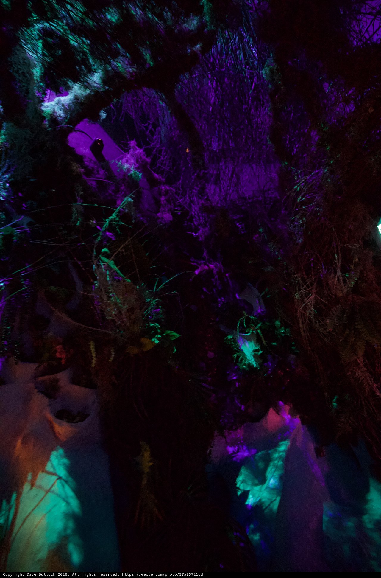 Illuminated Underground Cave Formation with Purple and Turquoise Lighting