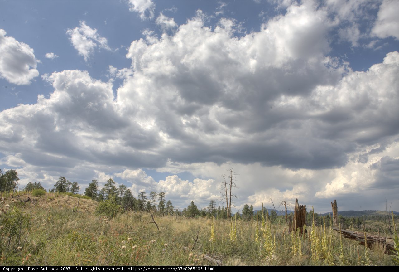 Dome Wilderness