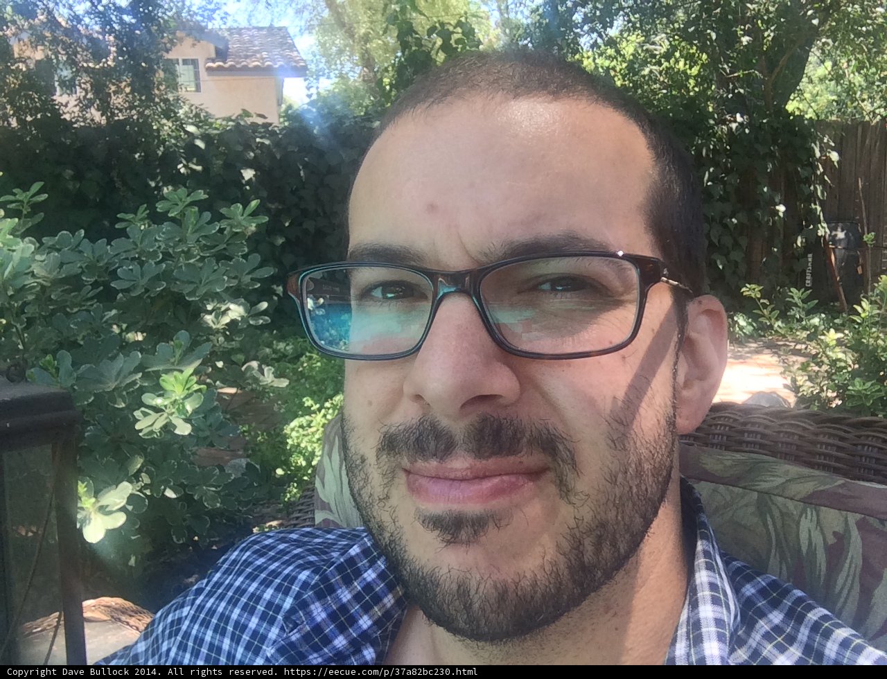 Portrait of a Bearded Man with Glasses