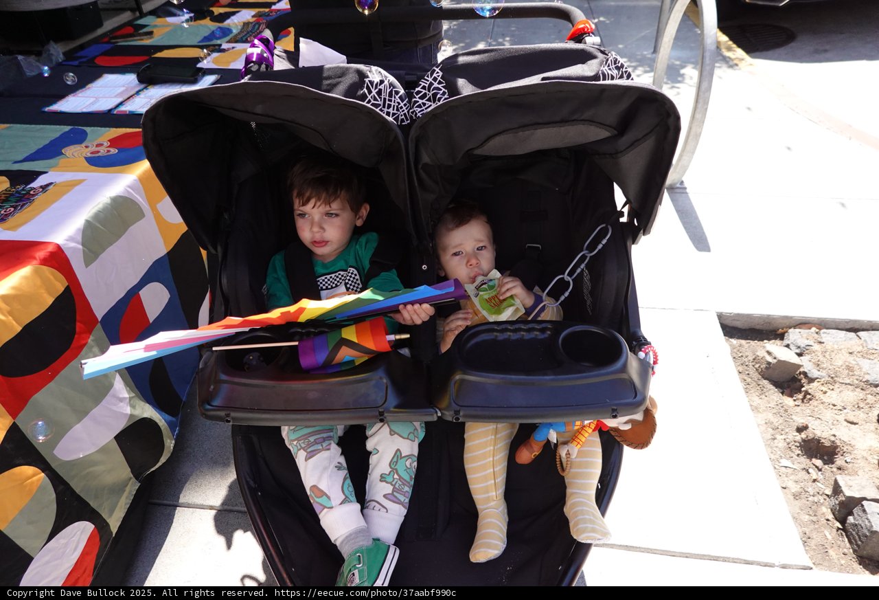 Stroller Adventures on a Sunny Day