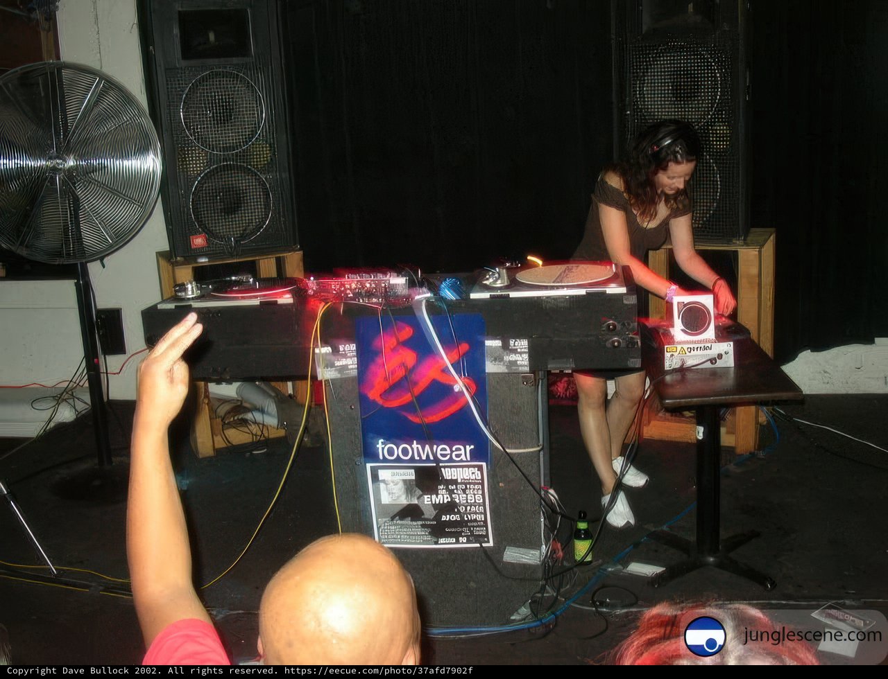 DJ Woman Plays to the Beat