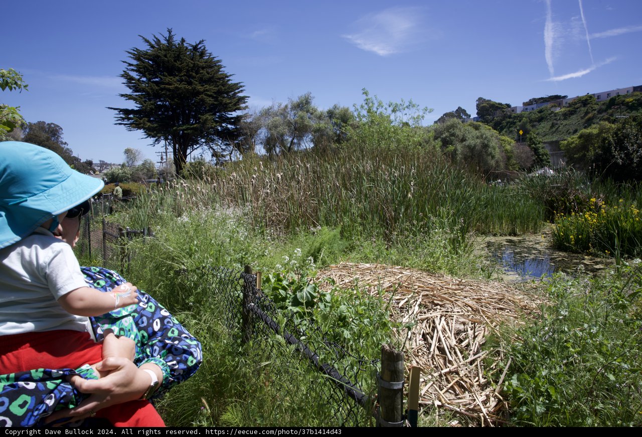 A Serene Day at Alemany Farm - Earth Day 2024