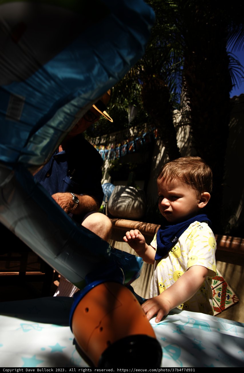 Wesley's First Birthday Celebration