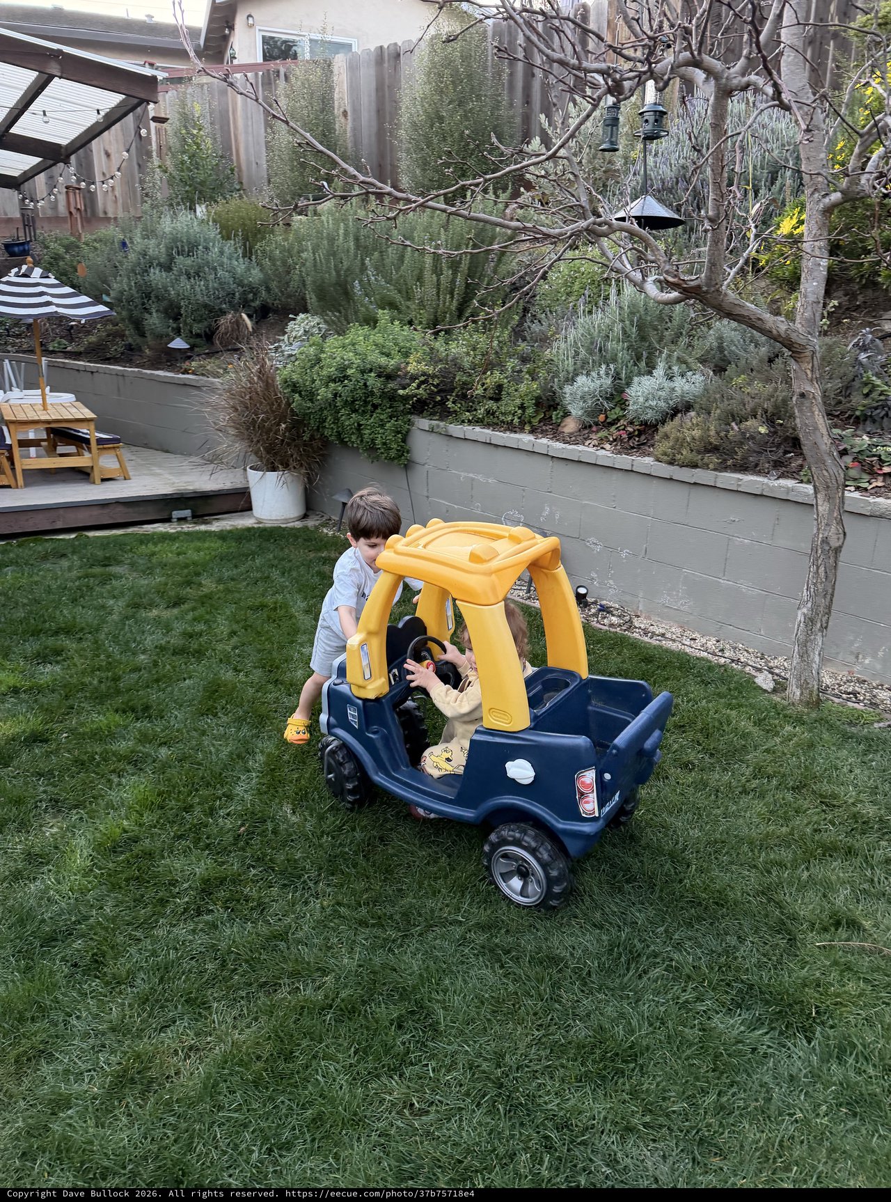 Childhood Play in a Backyard Garden Oasis