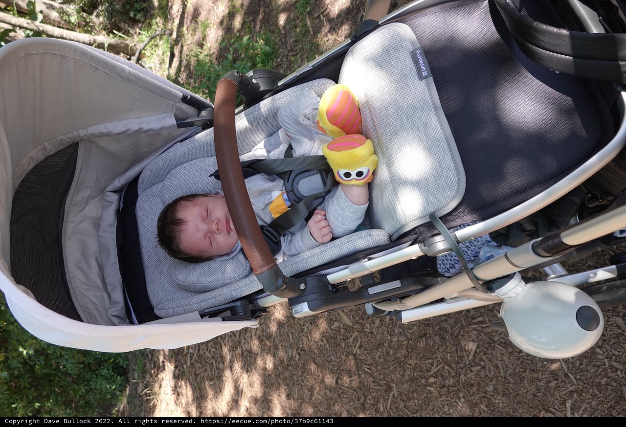 Newborn Baby Sleeping Peacefully in Stroller Outdoors