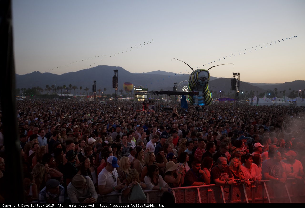 Rocking with the Crowd