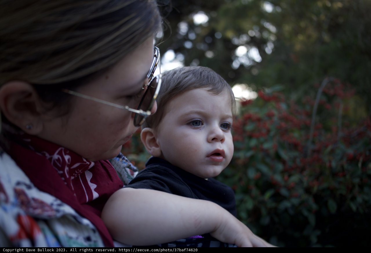 Cherished Moments at the SF Zoo