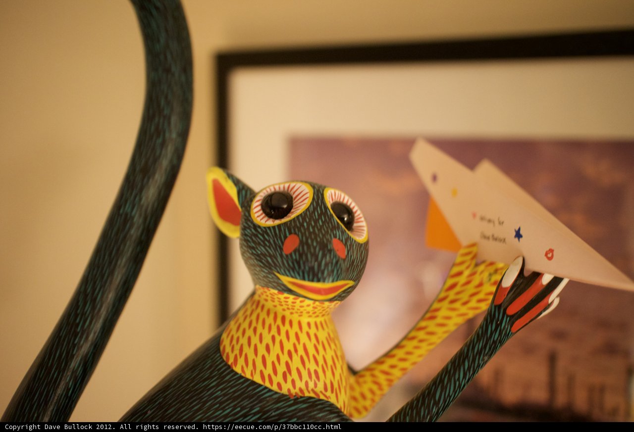 Monkey's Paper Plane