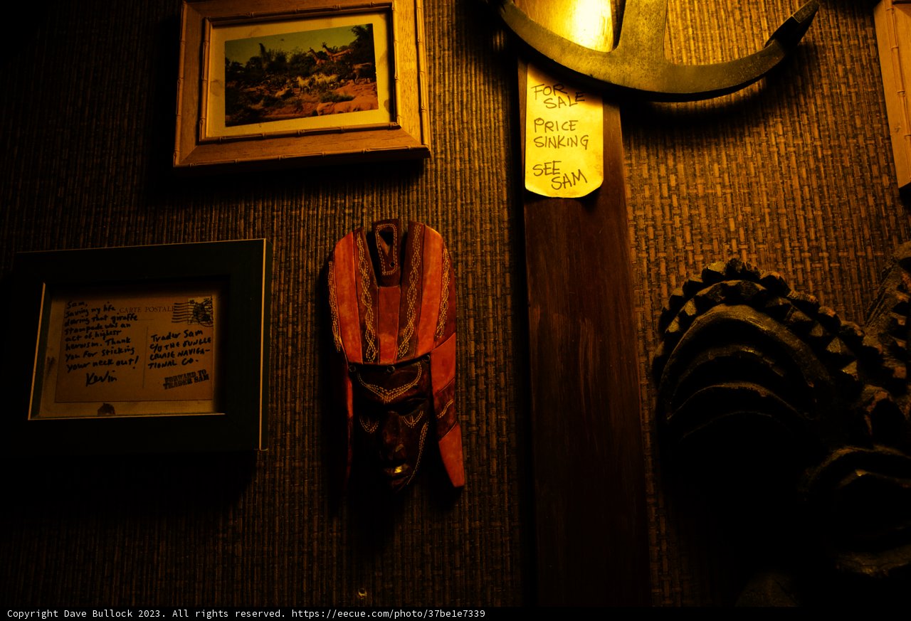 Mysterious Art Encounter at Disneyland