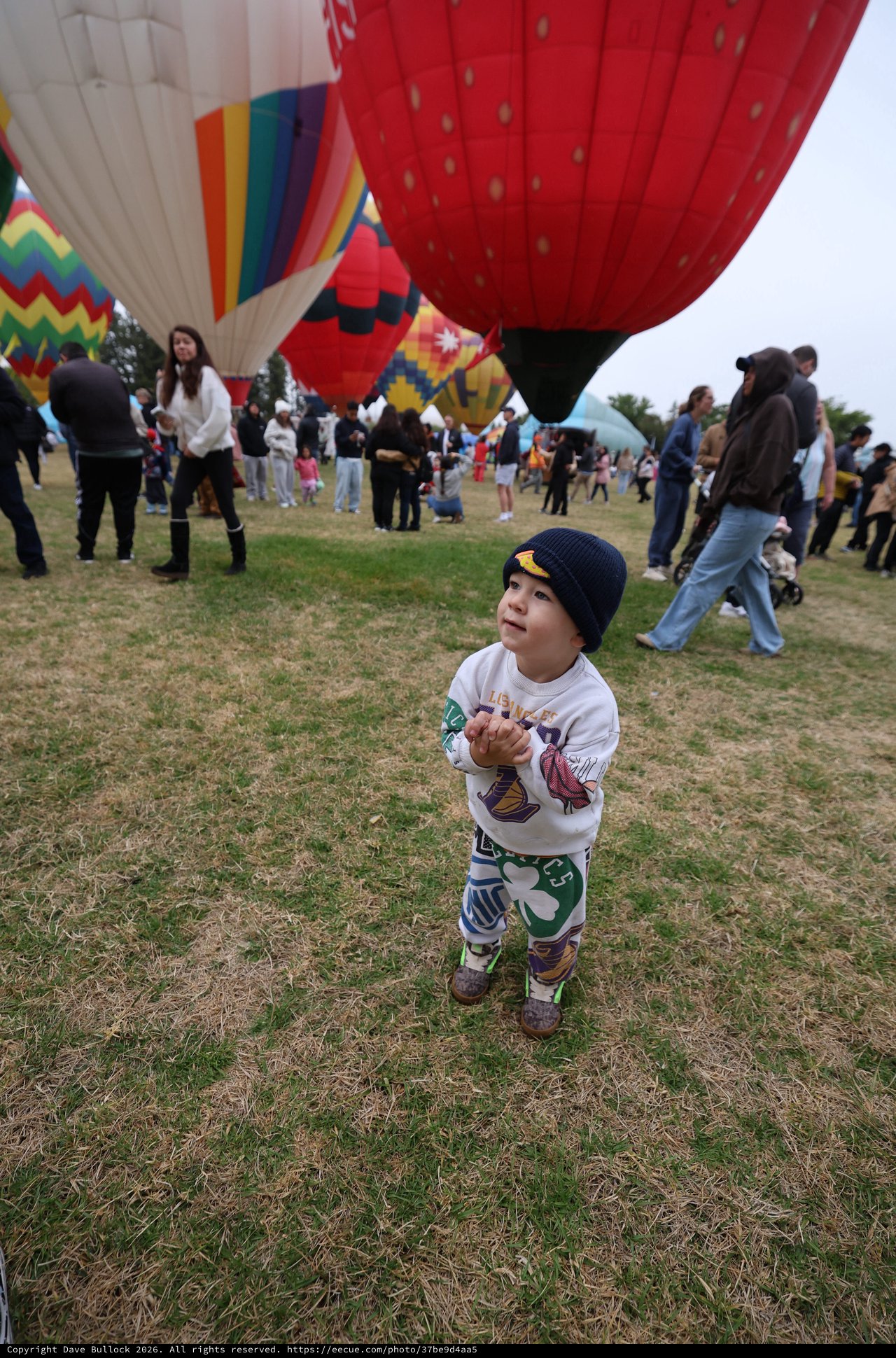 Wide-Eyed Toddler Marvels at Hot Air Balloon Festival