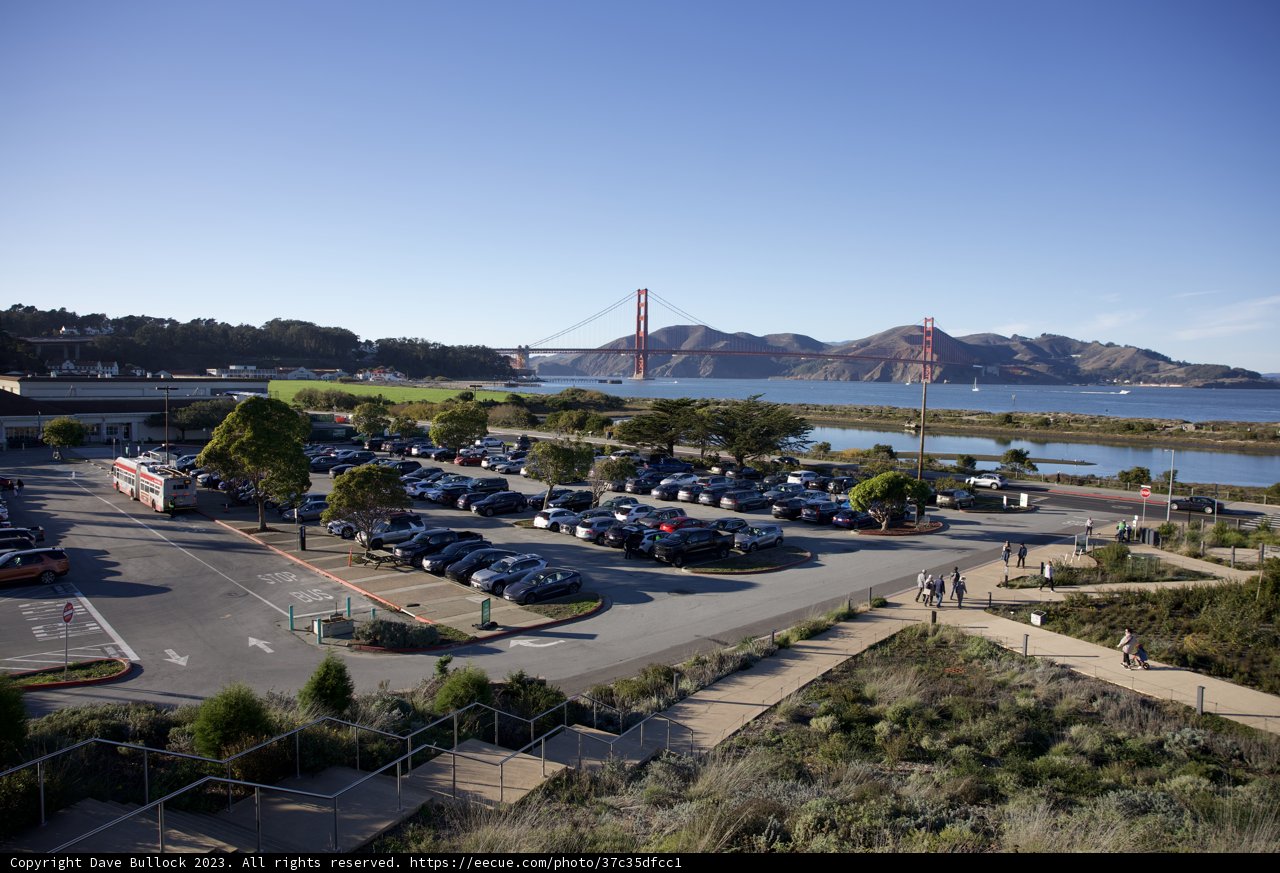 Aerial Symphony: The Intersection of Nature and Transportation