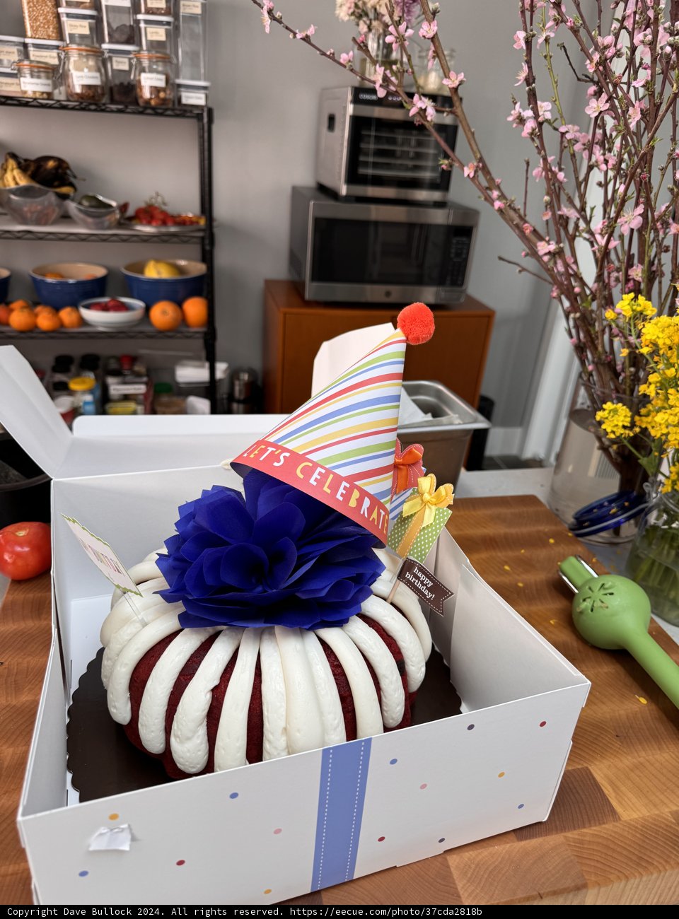 A Special Birthday Surprise