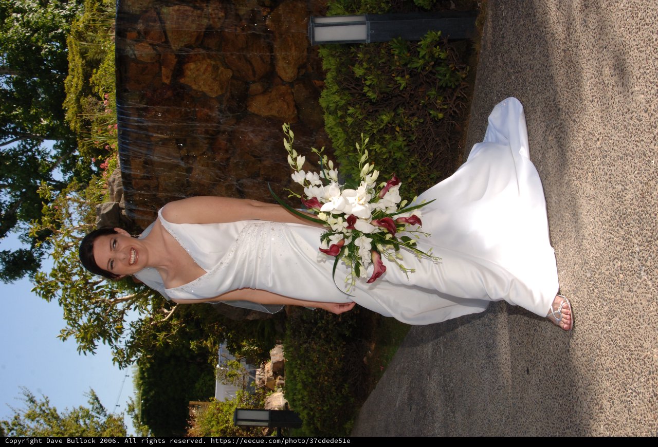 Radiant Bride Poses Before Stone Waterfall Feature