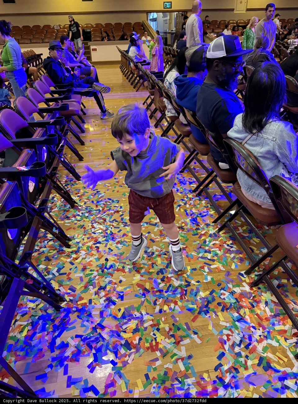 Confetti Dance Delight