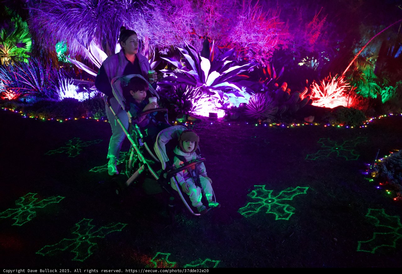 Enchanted Stroll Through the Garden of Lights