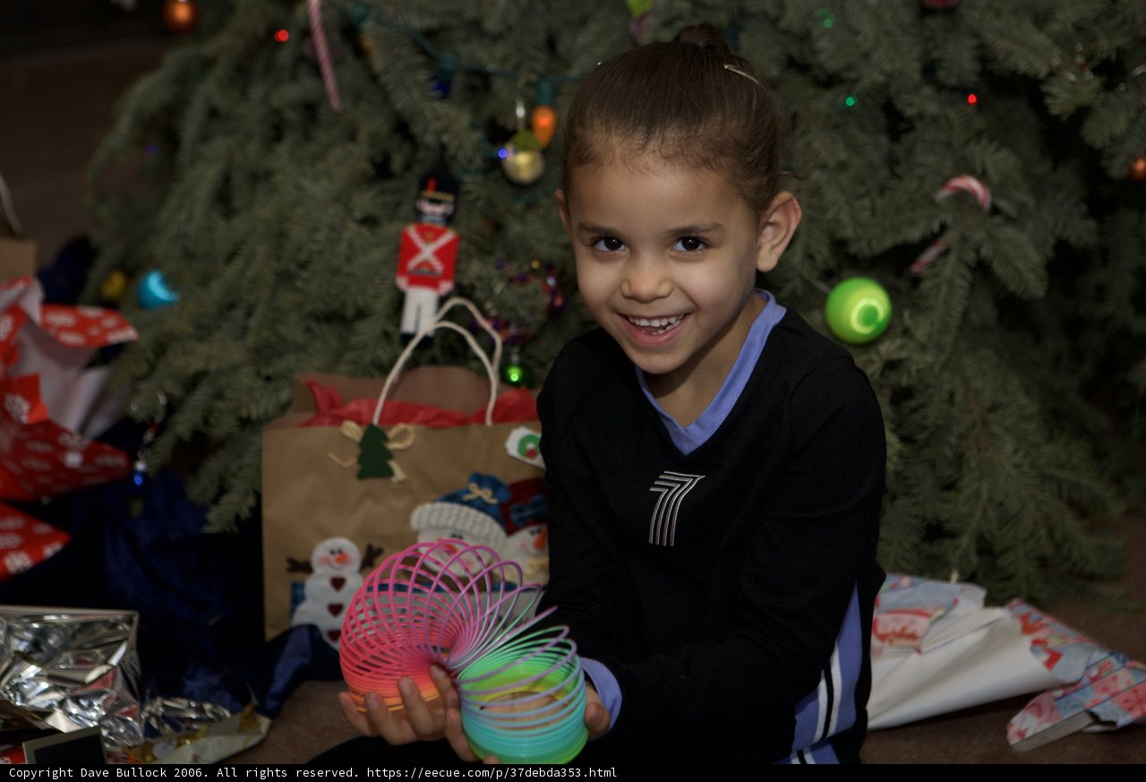 Christmas Joy with Skyela B