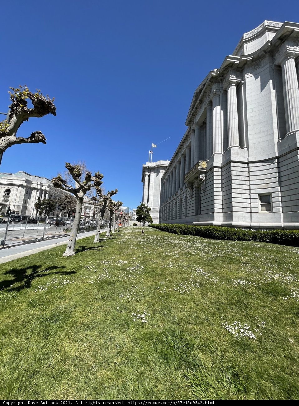 San Francisco City Hall in the Bright Light of Day