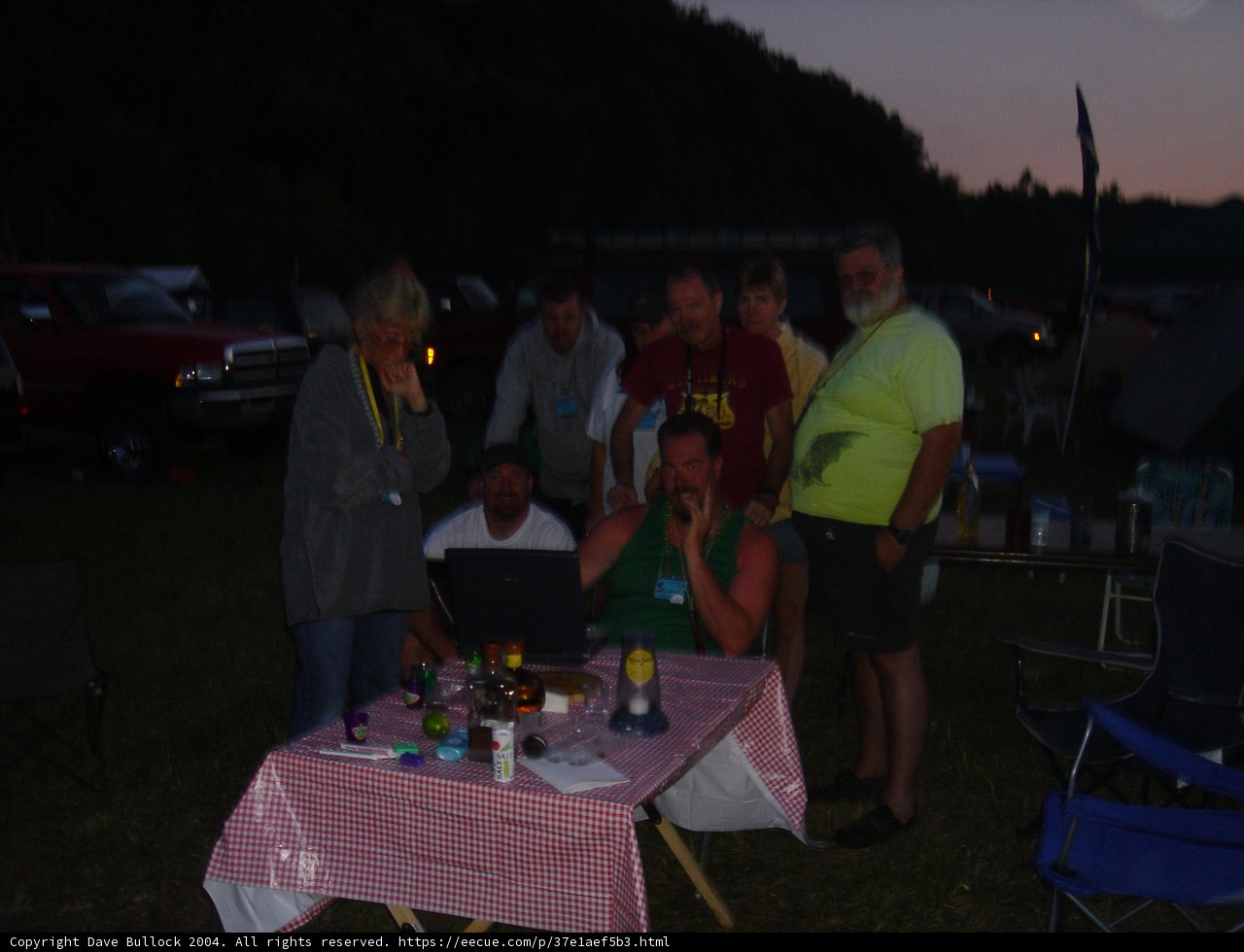 Team Meeting Over Laptop