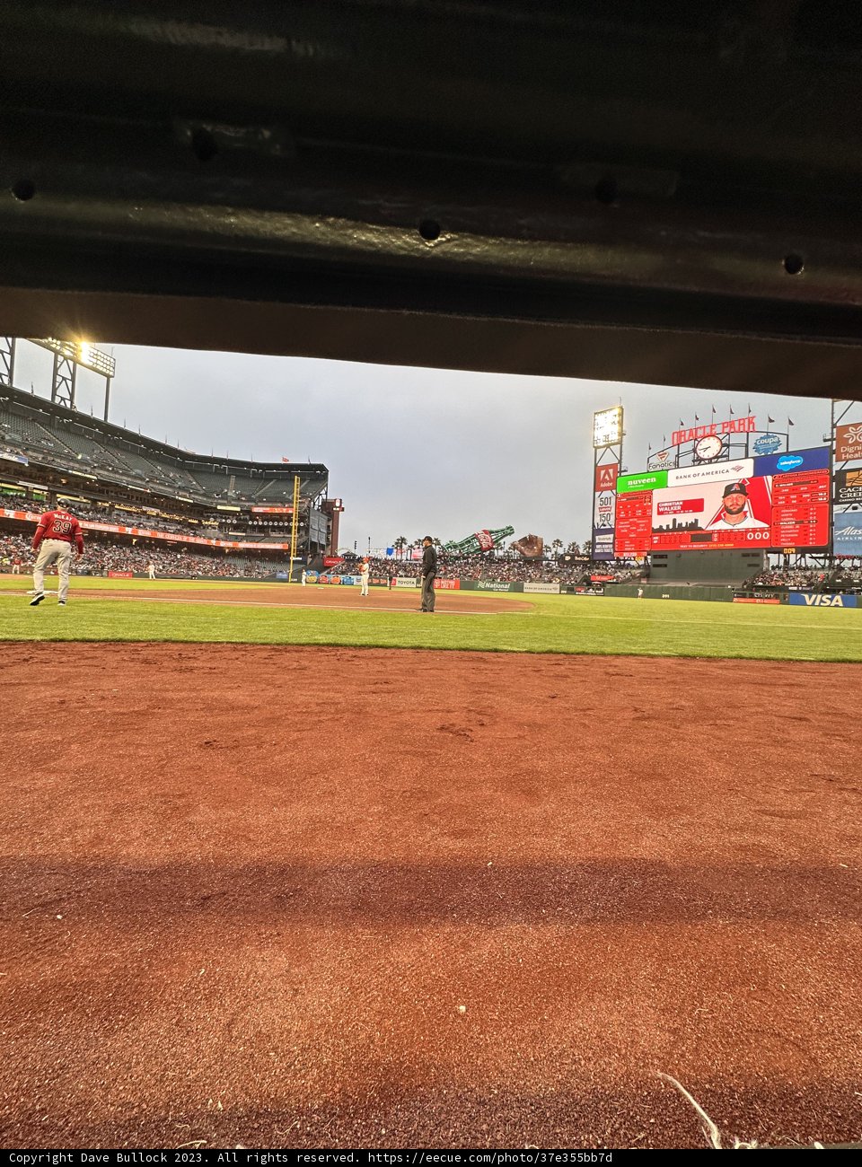 Electrifying Evening at Oracle Park: A Glimpse of the Game and the Crowd