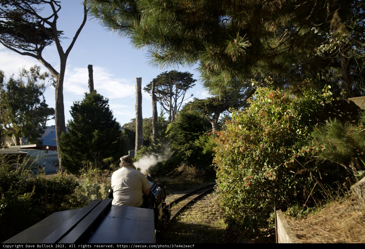 Tranquil Journey Amidst Nature