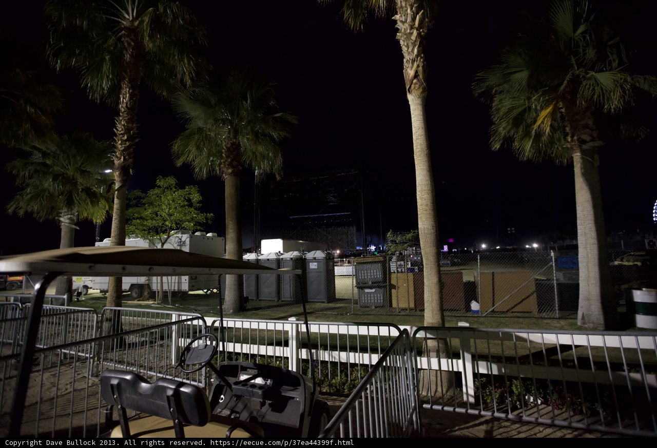 Nighttime Oasis