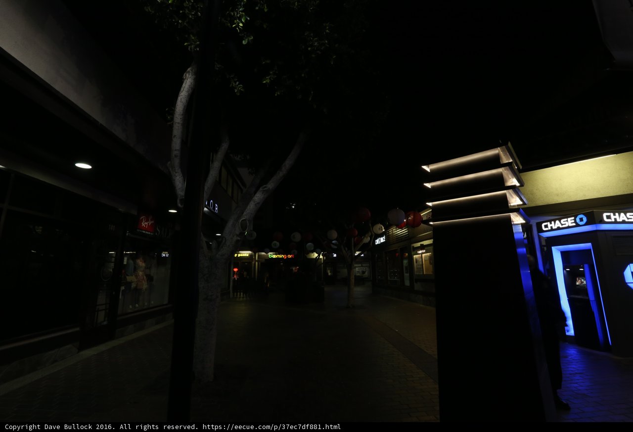 Blue Night at the Terminal