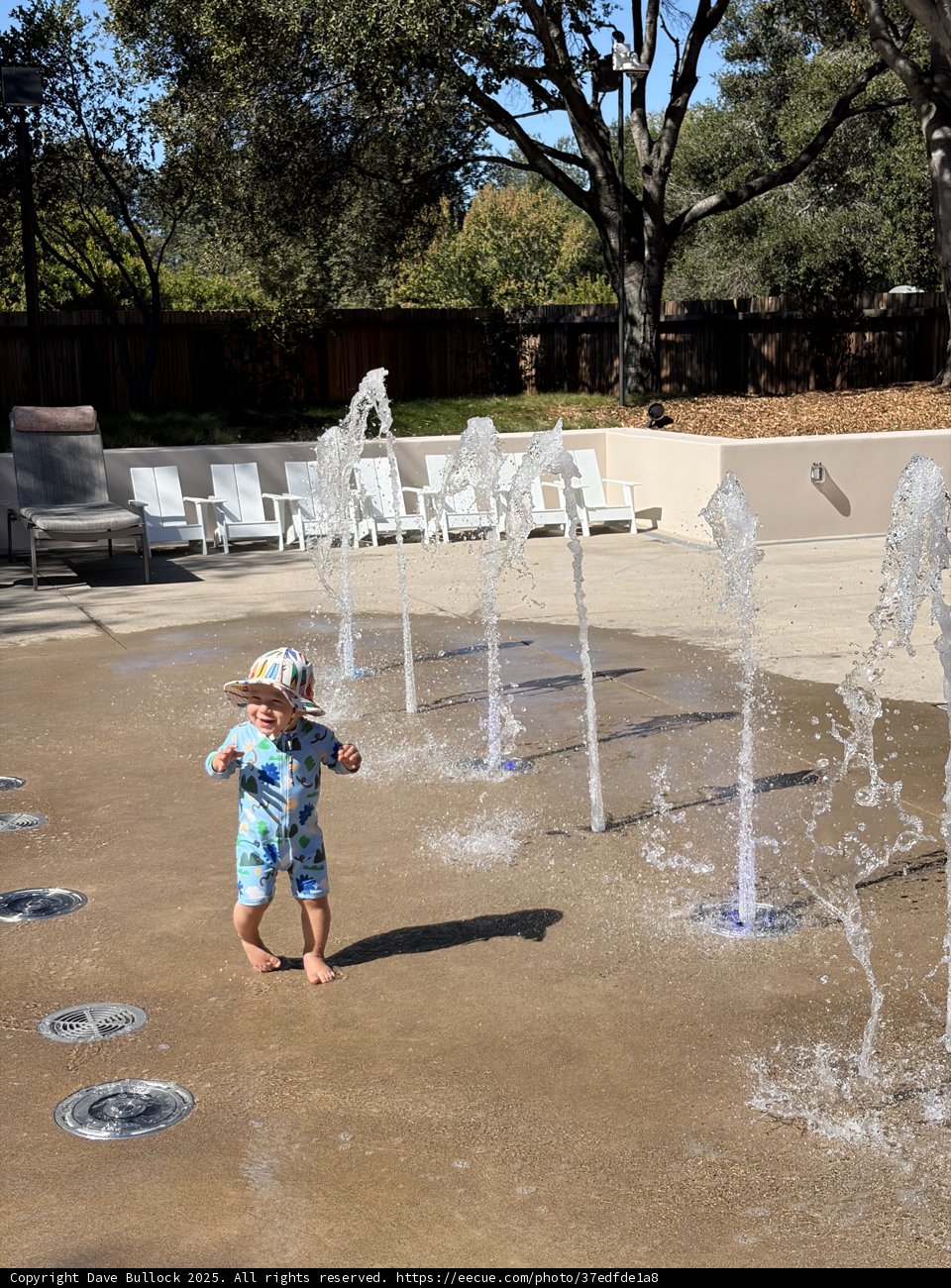 Joyful Splash in Carmel