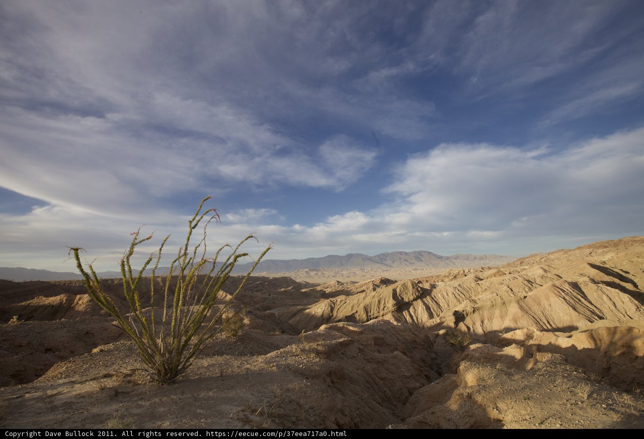 Desert Botanical