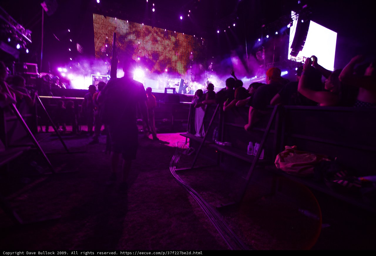 Purple Haze