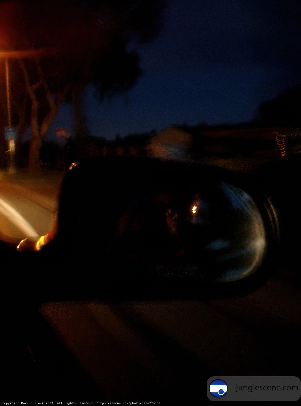 Night Drive with a Reflective View