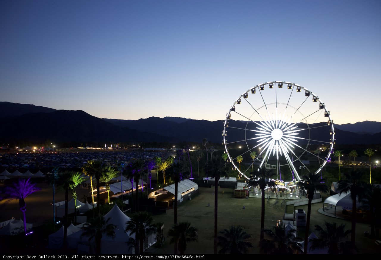 Fun and Thrills in the Desert