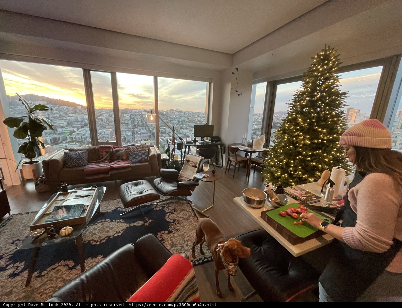 Festive Living Room in San Francisco