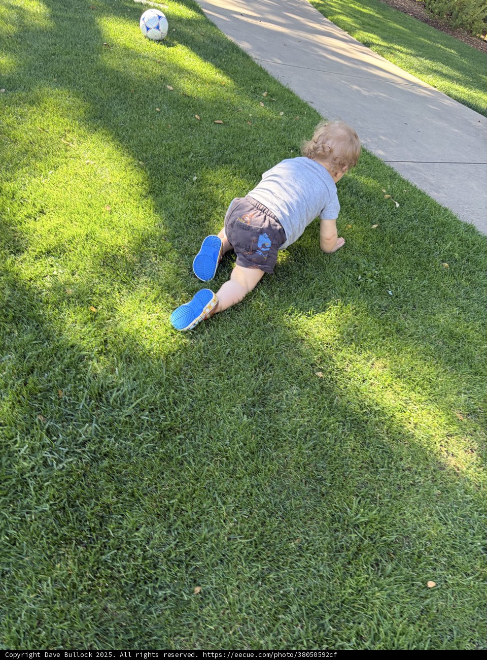 Little Explorer on the Move