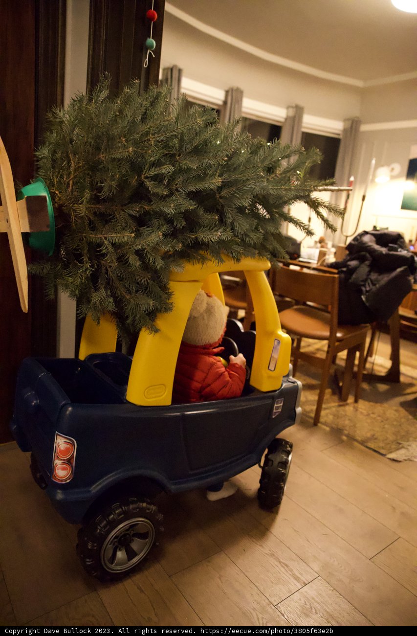 Wesley's Mini Christmas Adventure
