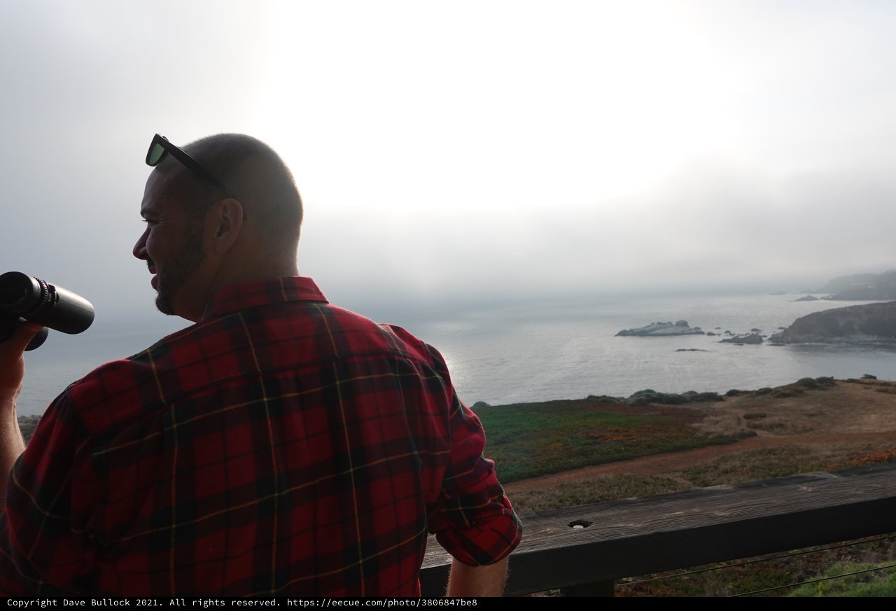Coastal Observer with Binoculars at Scenic Overlook