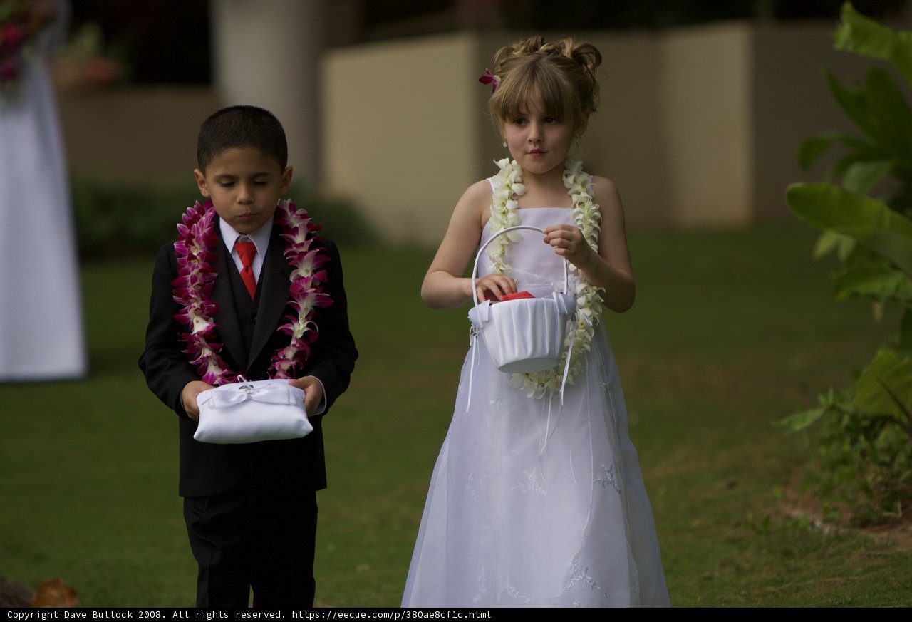 Formal Attire for Young Wedding Attendants