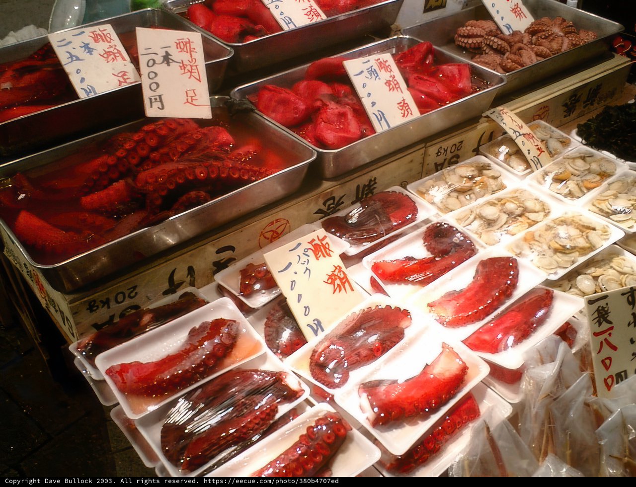 A Market Display of Fresh Seafood and Squid