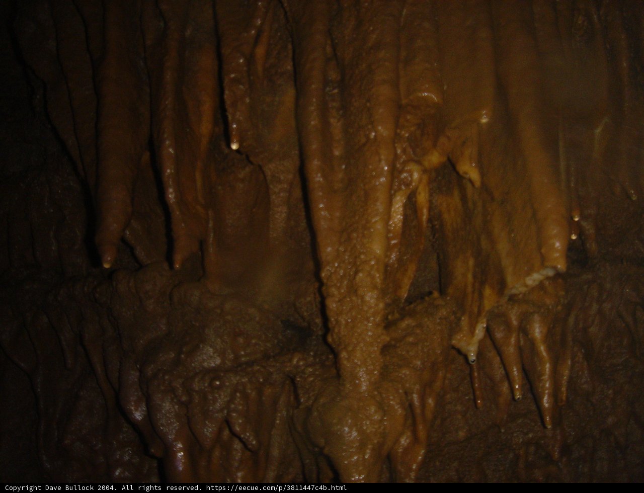 A Bride's Cave Adventure