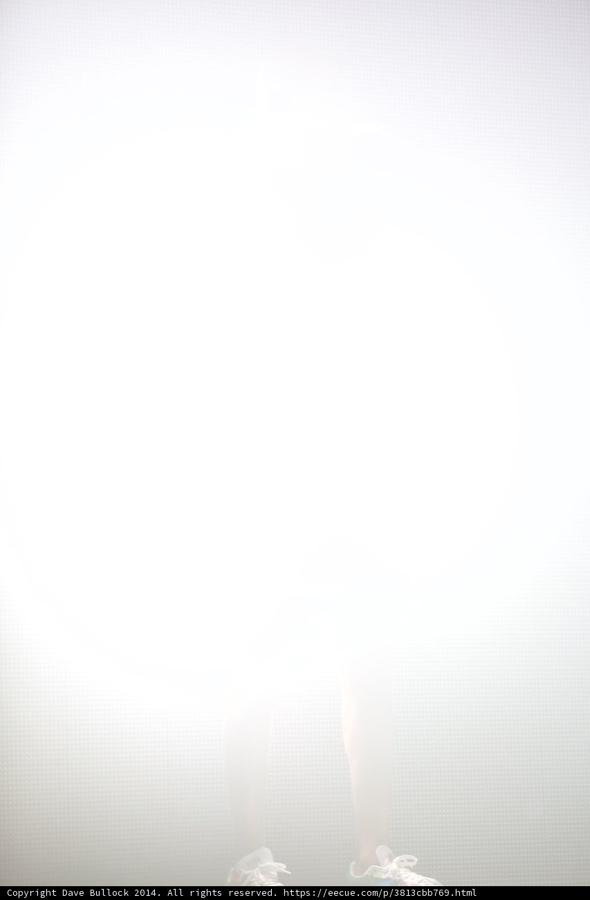 Shrouded in Mist
