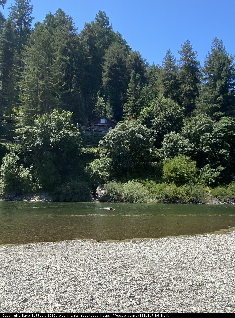 Serene River Retreat