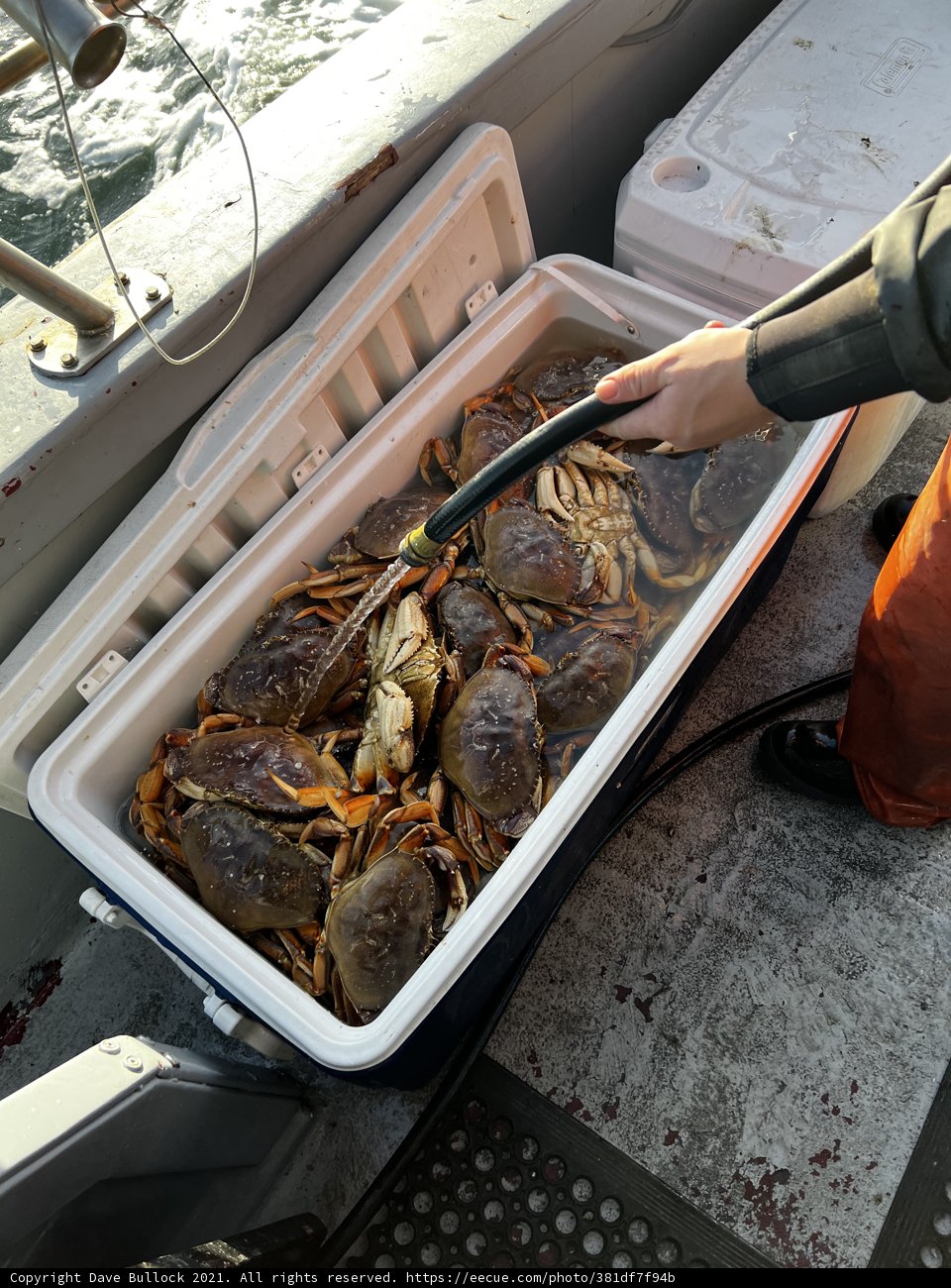 Crabbing in the Gulf of the Farallones