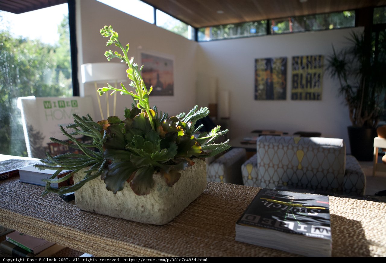A Stylish Living Room Centerpiece