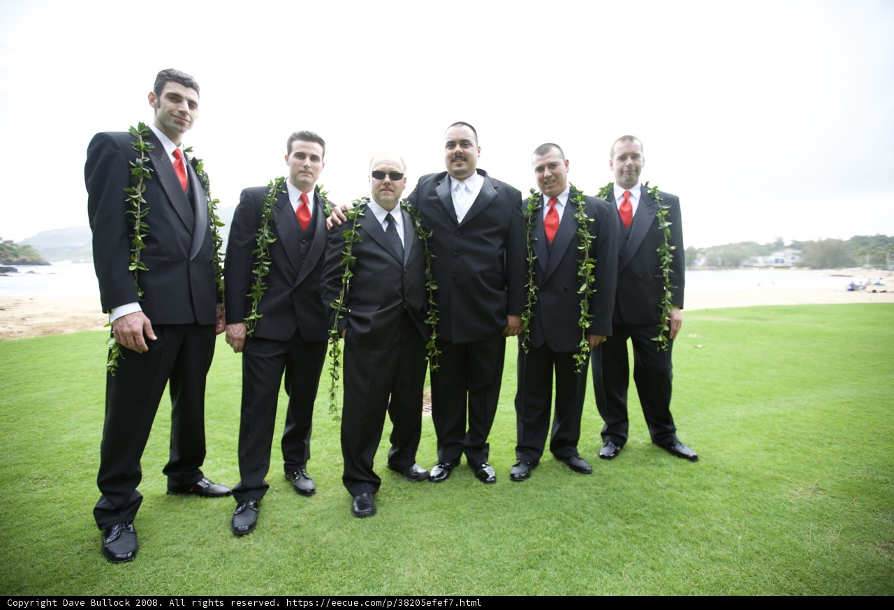 Groomsmen Group Shot on the Grass